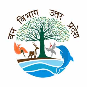 video production services Delhi